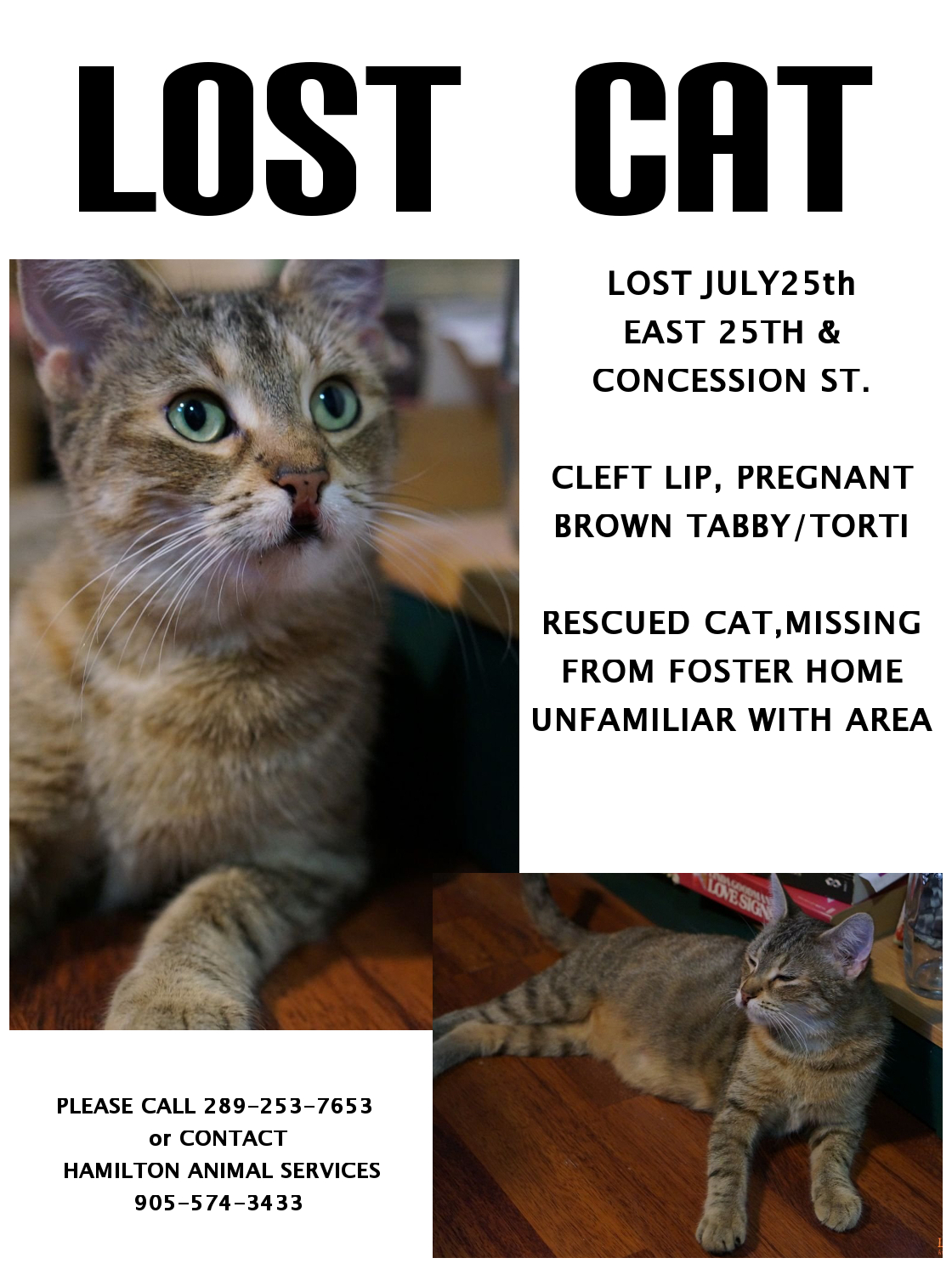 lost lala
