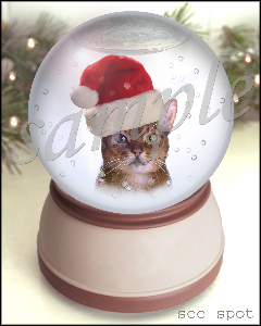 Pet in a Snow Globe