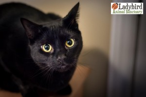 Posey photo by Willow Bean Photography
