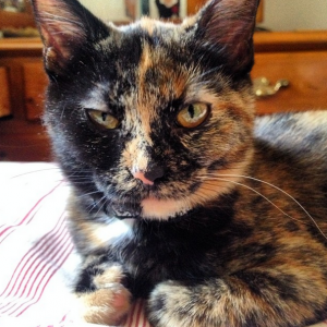 Grace adopted