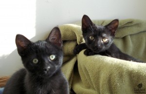 Stanley and Paulie