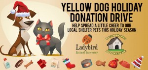Yellow Dog Grooming Donation Drive
