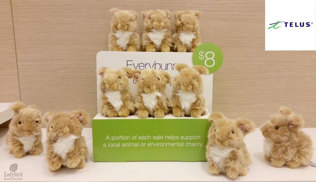 Buy a Telus bunny!