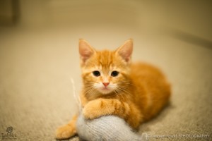 Tony