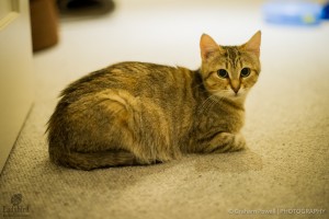 Zoe