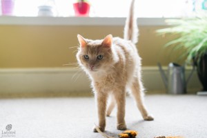 Marley @ foster