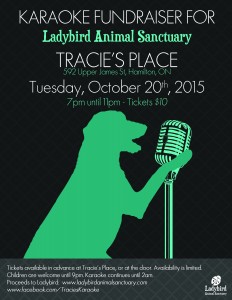 Karaoke fundraiser