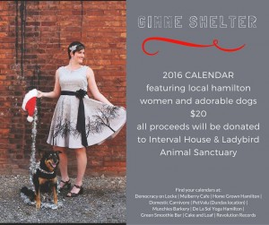 Gimme Shelter Calendar