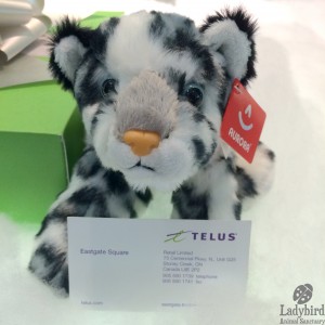 Telus Snow Leopard