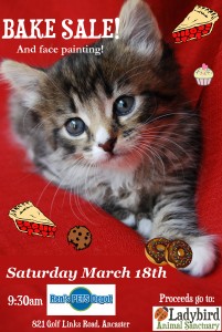 Bake Sale poster 2017