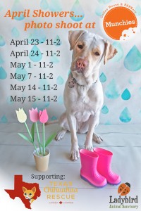Spring Photo Shoot