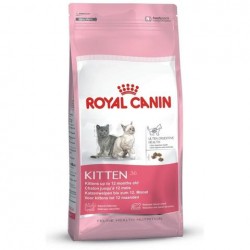 Royal Canin kitten dry
