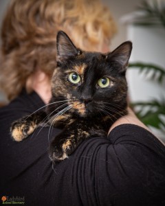 Lucy - photo by Luca Simpson
