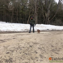 Snickers adopted