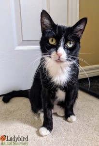Mama Darcy @ foster