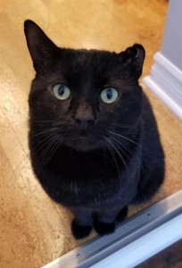 Floyd adopted