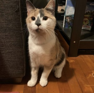 Greta T