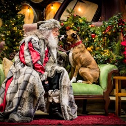 Pet Pics with Father Christmas 2019