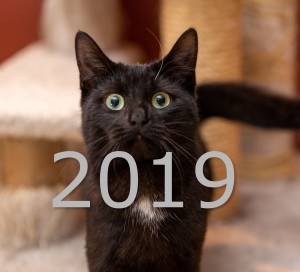 2019