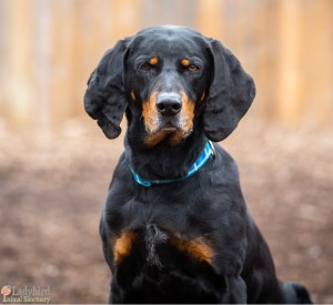 Sophie - photo by Luca Simpson