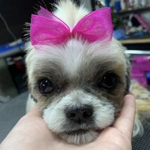 Frankie