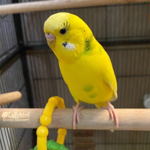 Edna