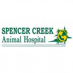 Spencer Creek Animal Hospital